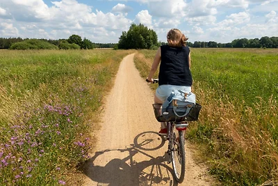 Vakantieappartement Gezinsvakantie Schwanewede