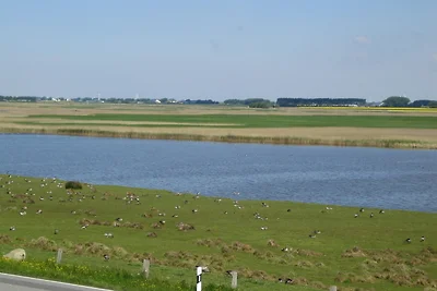 Vakantieappartement Gezinsvakantie Dagebüll