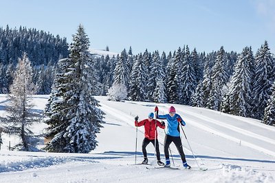 Vakantieappartement Gezinsvakantie Feldberg