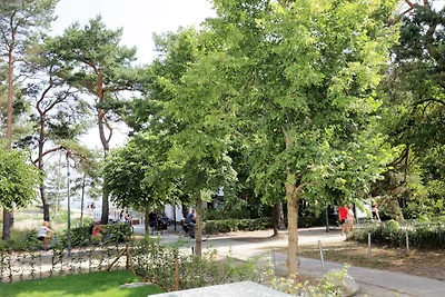 Vakantieappartement Gezinsvakantie Ahlbeck