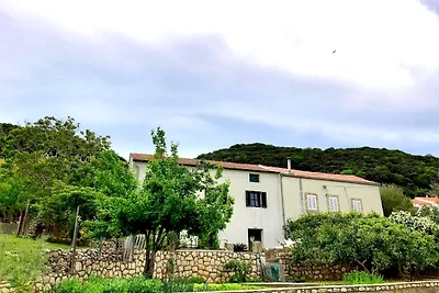 Holiday home relaxing holiday Biograd na Moru