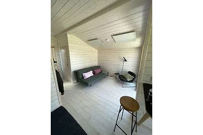 (203) Modernes Tiny House an der