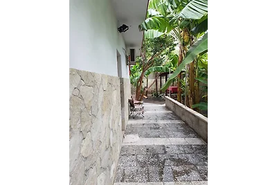 Villa Concepción Appartement 1