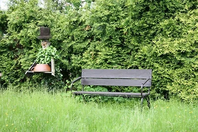 Casa vacanze Vacanza di relax Müglitztal