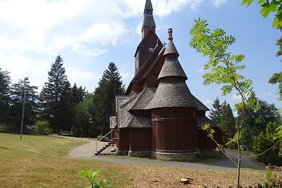 Vakantieappartement Gezinsvakantie Hahnenklee