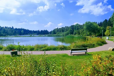 Hahnenklee mit Seeblick im Harz