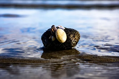 Ferienhaus Lille Strandhus