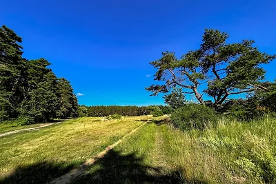 Herman's Hof Appartement Nr. 8