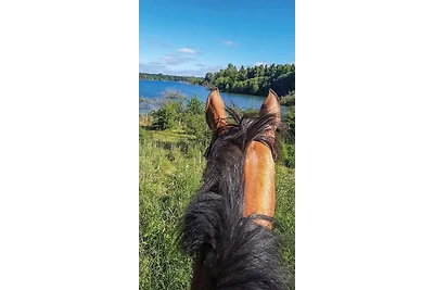 Ferien & Monteurswohnung auf dem