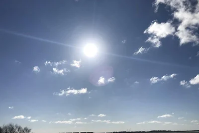 NTBM36104 - FeWo 'Swalkennest