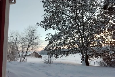 Vakantiehuis Ontspannende vakantie Finland