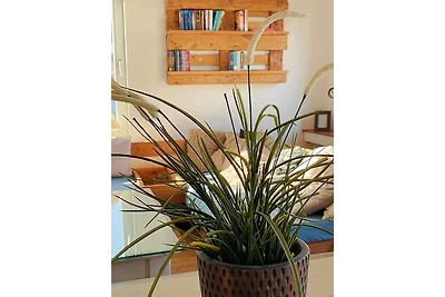 Vakantieappartement Gezinsvakantie Niendorf (Ostsee)