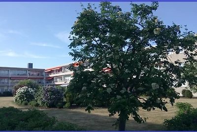 Ostsee Oase Grömitz - Haus Baltic