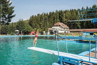 4 Personen mit Sauna (F2H6)