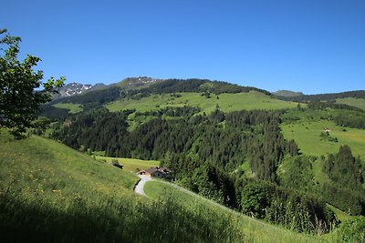 Vakantieappartement Gezinsvakantie Wildschönau