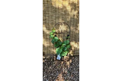 Gästehaus Waldliebe****