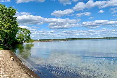 Ferienwohnung "Wiesenglück" mit