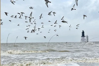 Appartamento Vacanza con famiglia Dorum