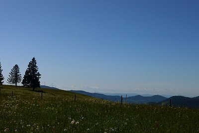 Vakantieappartement Gezinsvakantie Schönenberg