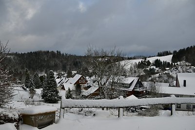 Vakantieappartement Gezinsvakantie Clausthal-Zellerfeld