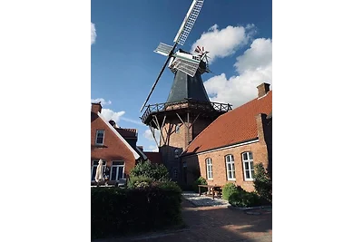 Ferienwohnung mit Seeblick