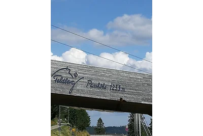 Appartamento Vacanza con famiglia Feldberg