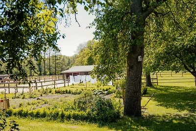 Vakantiehuis Ontspannende vakantie Dahlenburg