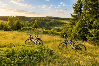 Rodelblick Kahlenberg