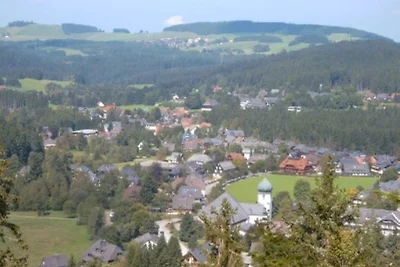 Grosse Ferienwohnung Oberzarten