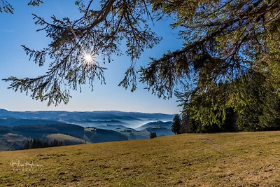Ferienhaus Anita - Wohnung Nr.04