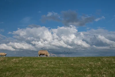Ferienwohnung Schmidt
