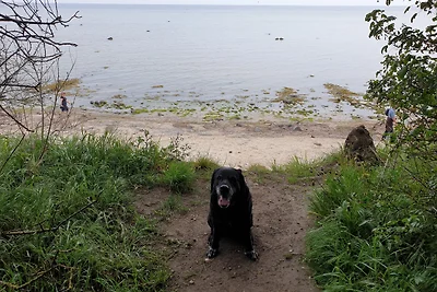 Appartamento Vacanza con famiglia Gollwitz