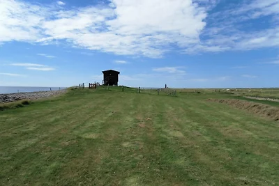 Appartamento Vacanza con famiglia Dagebüll