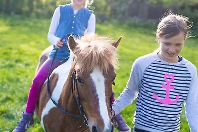 Vakantieappartement Gezinsvakantie Fehmarn