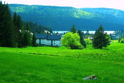 Ferienwohnung "Domicil Schluchsee"