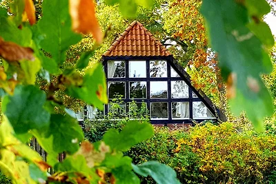 Vakantiehuis Ontspannende vakantie Rotenburg Ortsteil Waffensen