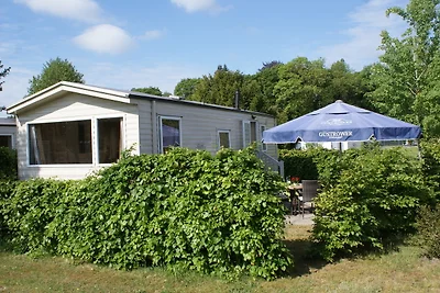 Accommodatie Vakantie op de boerderij Eggesin