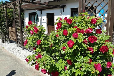 Vakantieappartement Gezinsvakantie Sellin
