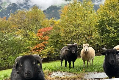 Vakantiehuis Ontspannende vakantie Ramsau im Zillertal