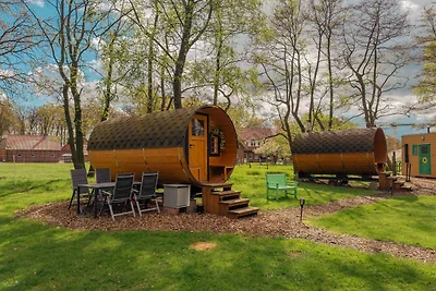 Kuhle Auszeit - Fass Sonnenblume