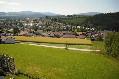 Vakantiehuis Ontspannende vakantie Geiersthal