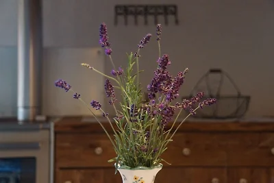 Casa vacanze Vacanza di relax Matrei in Osttirol