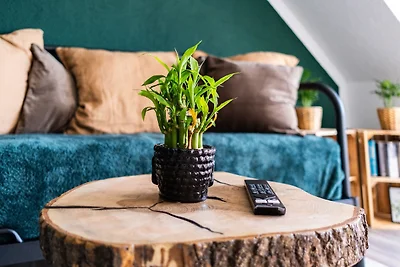 Vakantieappartement Gezinsvakantie Böblingen