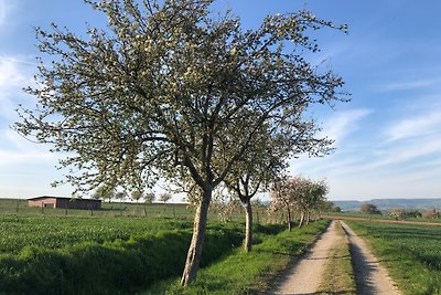 Ferienwohnung Wesertal