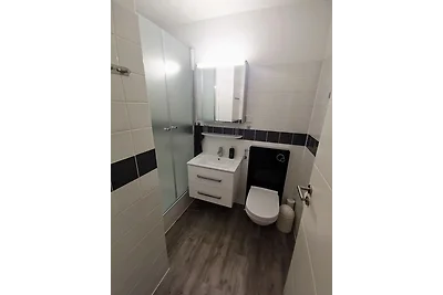 Hahnenklee mit Seeblick 219