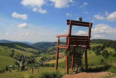 Ferienwohnung Feldberg in der