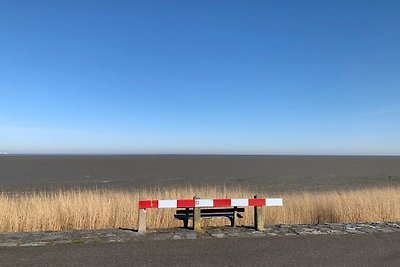 Vakantiehuis Ontspannende vakantie Hippolytushoef