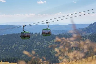Appartamento Vacanza con famiglia Titisee-Neustadt
