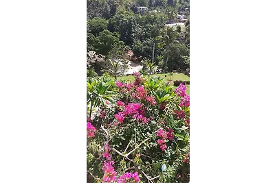 Bungalow de Ballenas