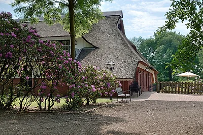 Vakantieappartement Gezinsvakantie Ihlow